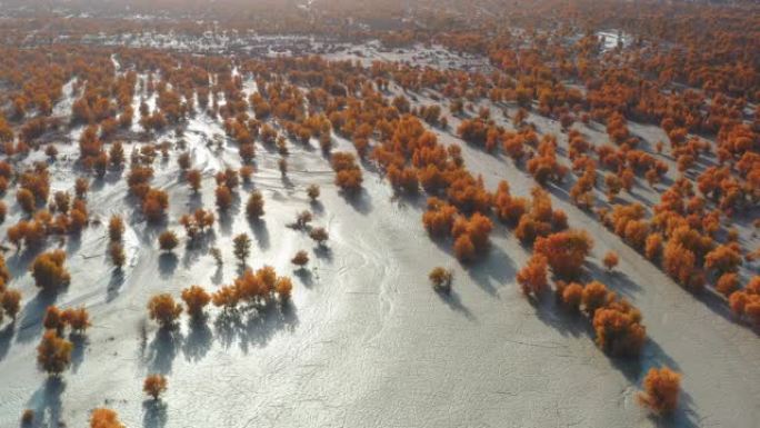 新疆鸟瞰图沿岸水景湖水湖边水面湖面