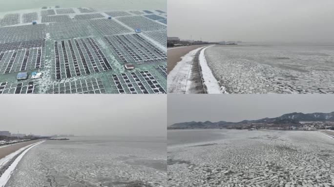 冬天海水结冰 养殖区结冰
