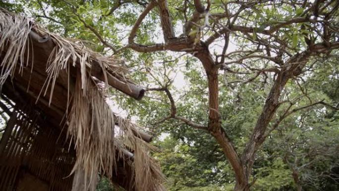 小屋屋顶破败小屋茅草屋