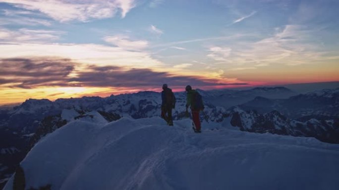 雄鸟在白雪皑皑的山峰上