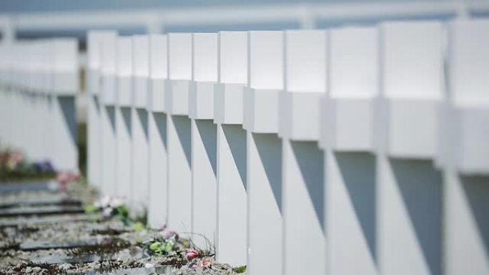 福克兰群岛阿根廷公墓的白色十字架。