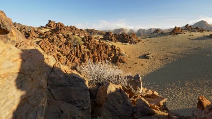 Amera在特内里费岛泰德国家公园的石头之间移动。火山景观有熔岩和岩石。温暖的夕阳光