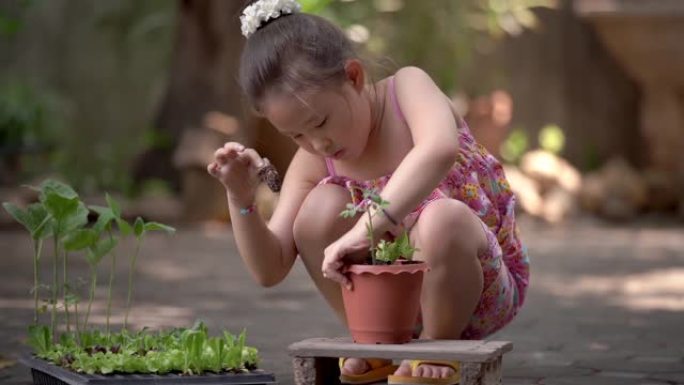 SLO MO CS亚洲小女孩在菜园种新树