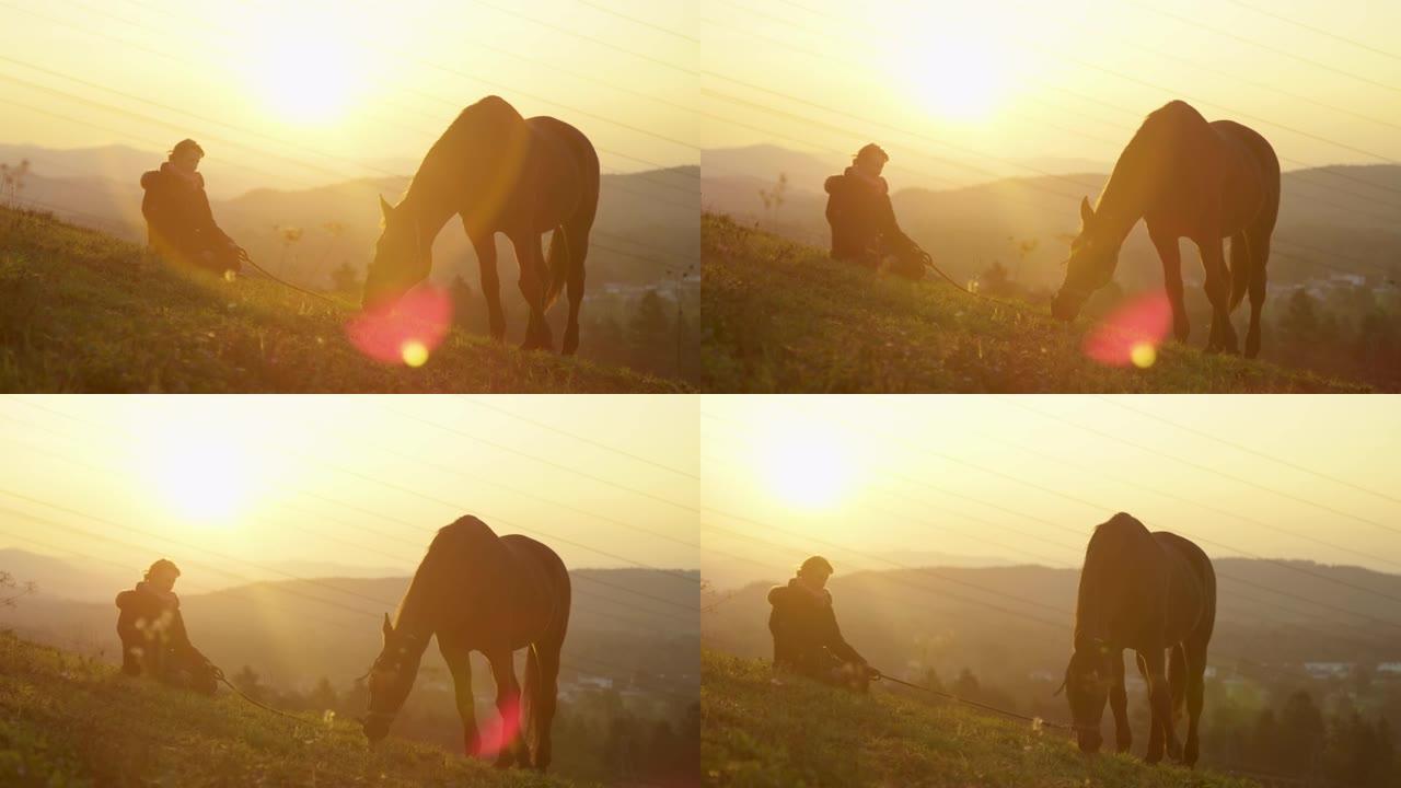 剪影: 日出时，令人惊叹的成年马在空旷的草山上吃草。