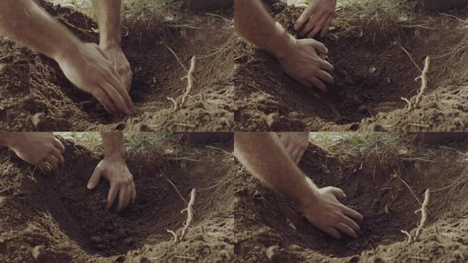 徒手挖洞土壤检查挖
