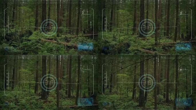 无人机HUD POV从森林地面升起