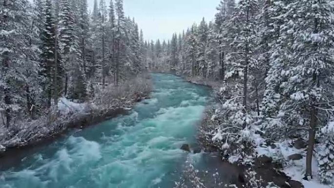 空中: 加利福尼亚下雪天，翡翠色的河流冲过森林