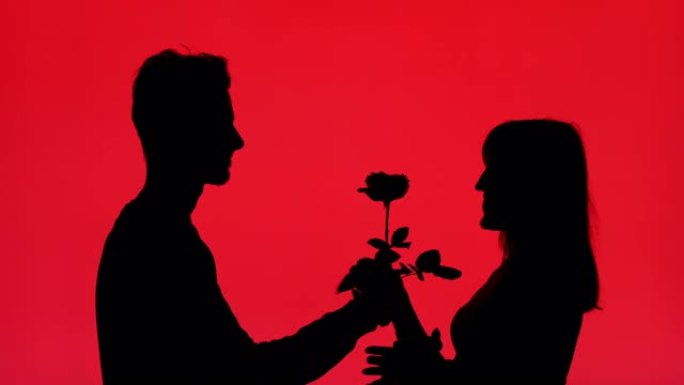 一个男人在红色背景上给女友玫瑰的剪影