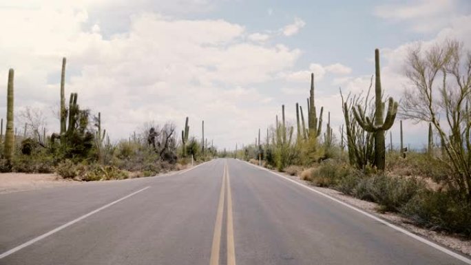 相机在空旷的沙漠道路中间迅速倾斜，大仙人掌在美国亚利桑那州的两侧生长。