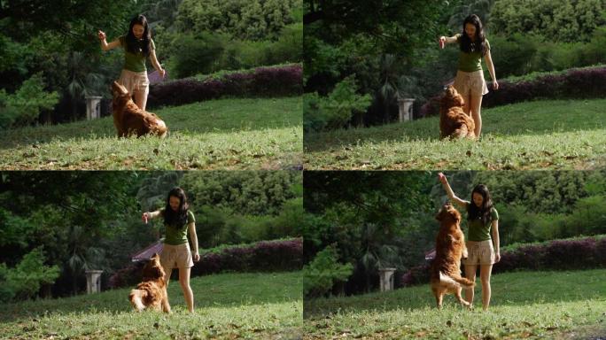 年轻女子在夏季公园和她的狗在户外玩耍