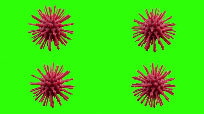 显微镜下致命的冠状病毒细菌。细菌和病毒的病原体暴发，引起冠状病毒等微生物的疾病。无缝循环3d渲染。绿