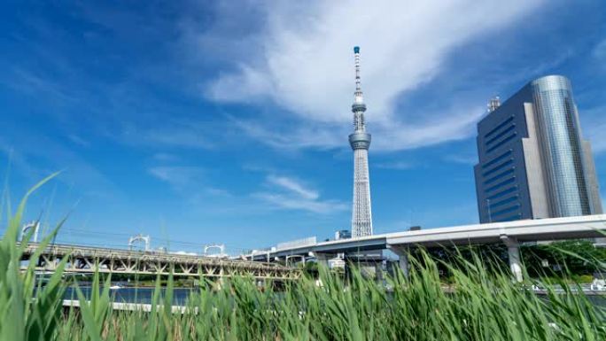 日本东京蓝天的延时东京天空树