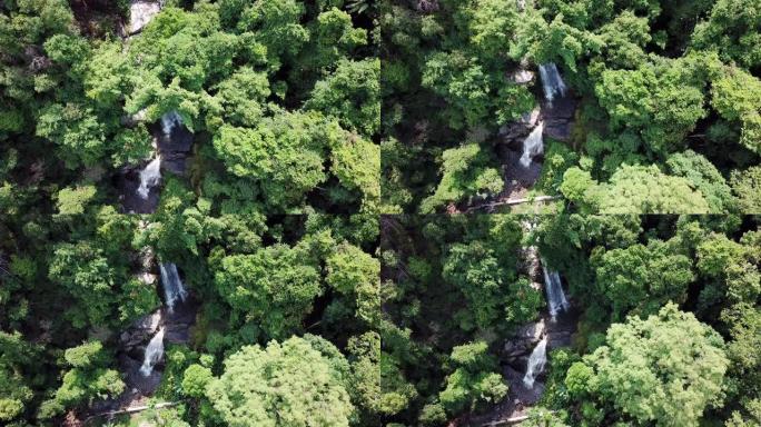 森林和瀑布溪的鸟瞰图