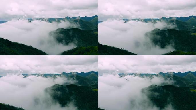 鸟瞰山雾