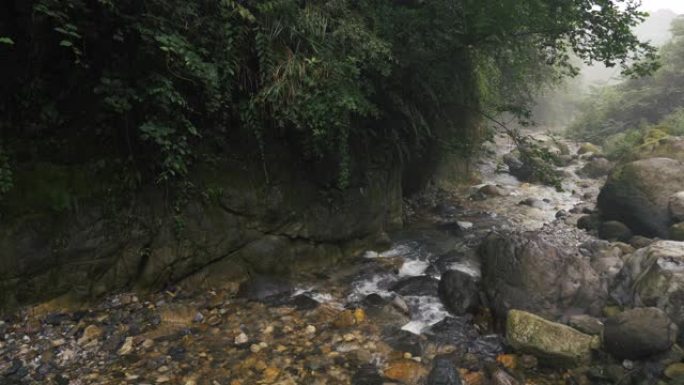 山里美丽的溪流生态水域流动河水小溪树林