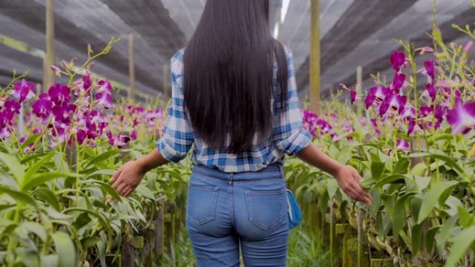 年轻的少女农夫走在花园里收获兰花。农业，园艺，农业，收获和人的概念，有机农业，植物护理和保护概念。技