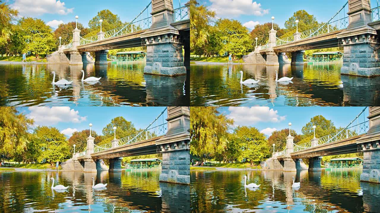 波士顿公共公园。桥。