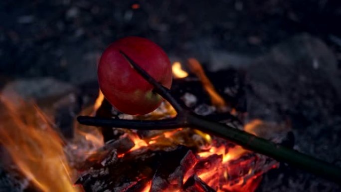 家庭在篝火里烤苹果。冬季乐趣。城市中的河边