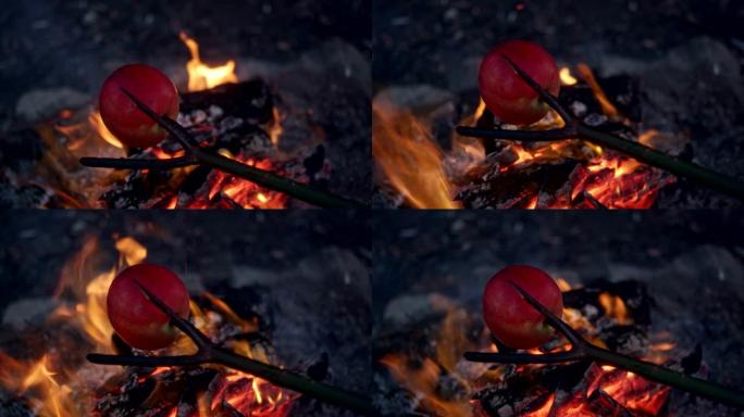 家庭在篝火里烤苹果。冬季乐趣。城市中的河边