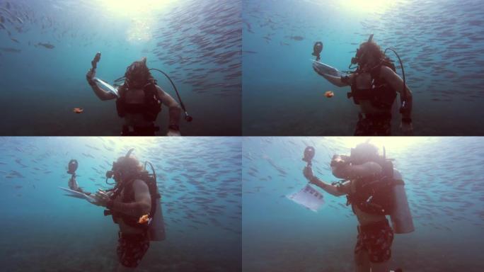在鱼中感到自由海底潜水拍摄鱼群海底生物拍
