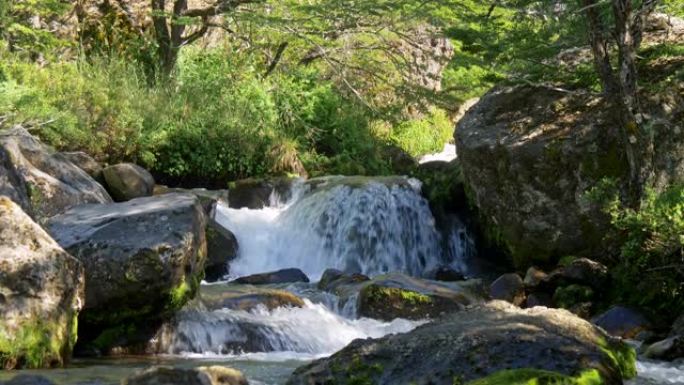 山溪河的鹤拍，在石头，松树和绿色植物之间流动。UHD