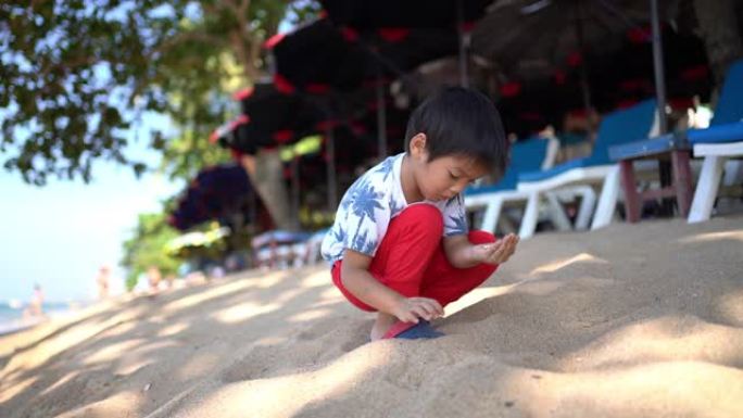 泰国芭堤雅海滩上的亚洲小男孩采摘贝壳