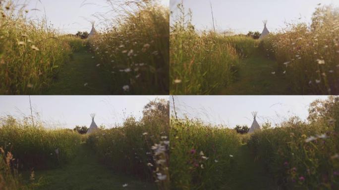 沿着野花和草场向圆锥形帐篷的路径跟踪拍摄