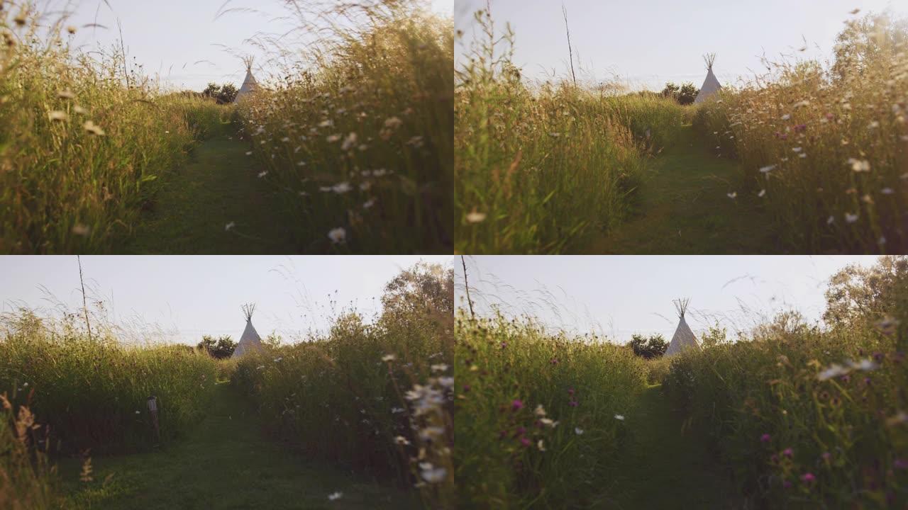沿着野花和草场向圆锥形帐篷的路径跟踪拍摄