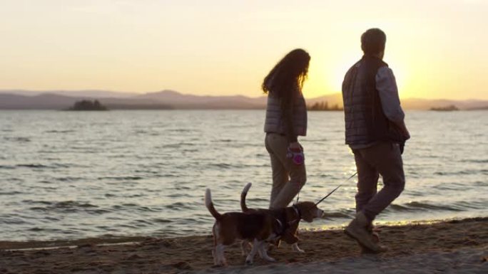 日落时分，夫妇带着狗在湖岸散步