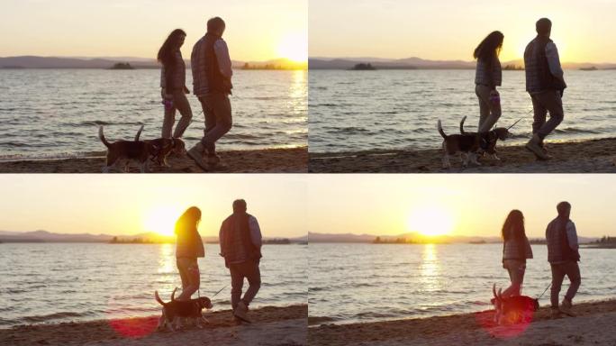 日落时分，夫妇带着狗在湖岸散步