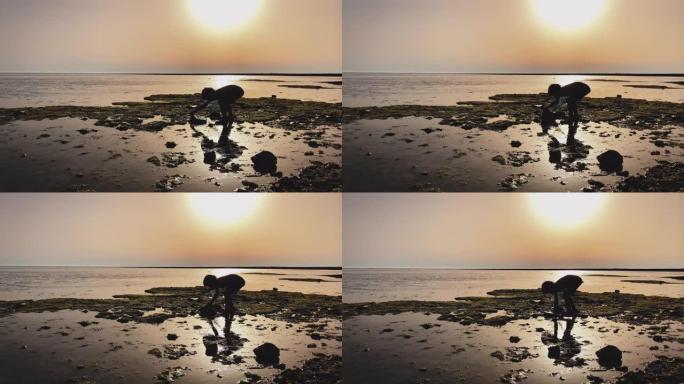 日落时探索海滩的男孩