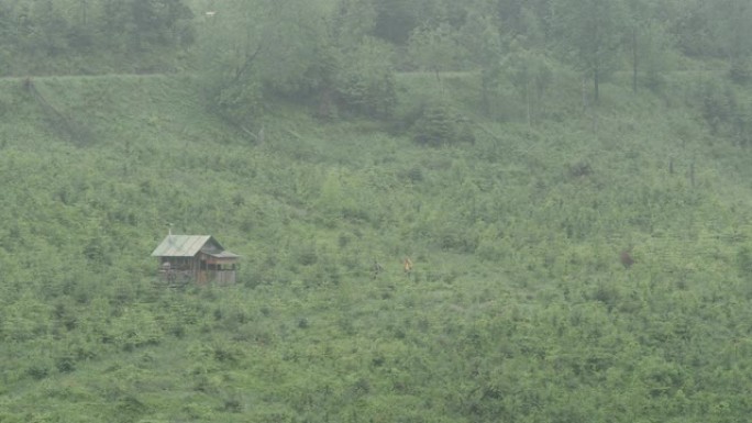 树林里的旧小屋。鸟瞰图