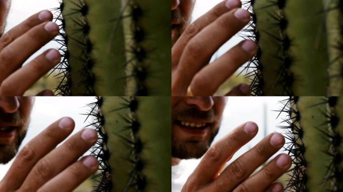 在亚利桑那国家公园，大胡子的年轻游客用手触摸仙人掌仙人掌针的超级特写镜头。