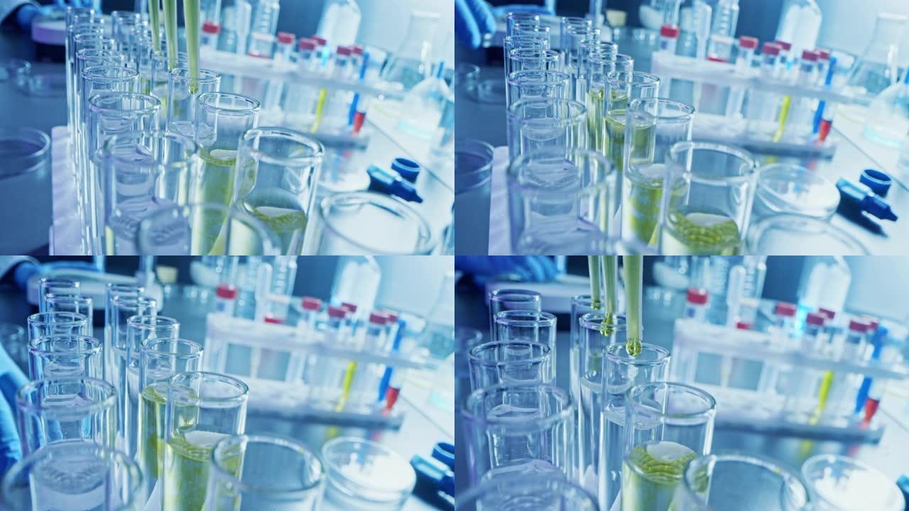 制药实验室: 多个移液器将黄色液体滴入试管，医学研究和分析。产品线; 滴管填充用于DNA研究的样品管