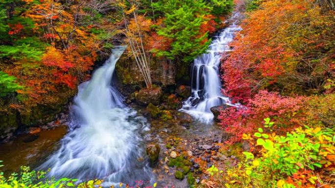4K.时光流逝，秋日日本秋日变化的森林中的龙祖瀑布瀑布
