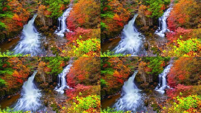 4K.时光流逝，秋日日本秋日变化的森林中的龙祖瀑布瀑布