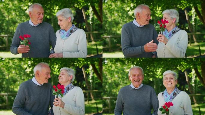 一位高级丈夫的慢动作正在给妻子送花，以表达他们在阳光明媚的日子里在绿色公园里永远的爱与尊重