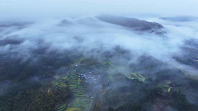 安徽黄山灵山油菜花梯田航拍