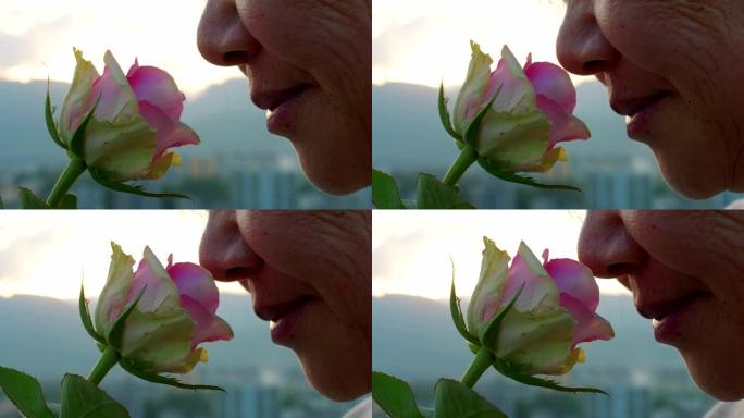 日落时闻到玫瑰的老年妇女