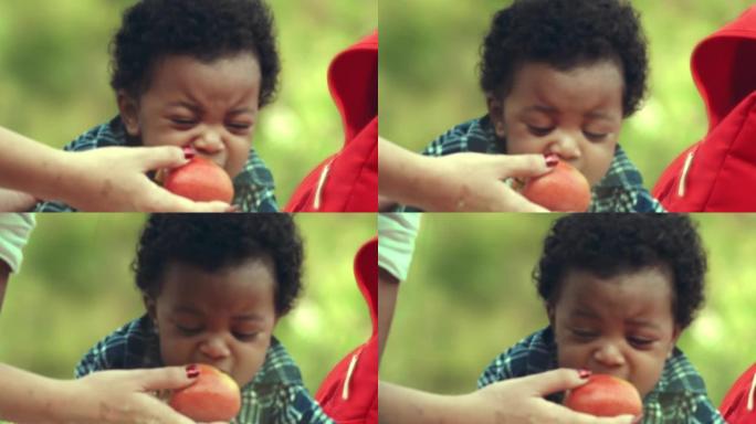 吃苹果的男婴花园中儿童黑人外国人