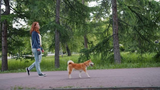 迷人的女士和可爱的柴犬在公园散步的侧视图