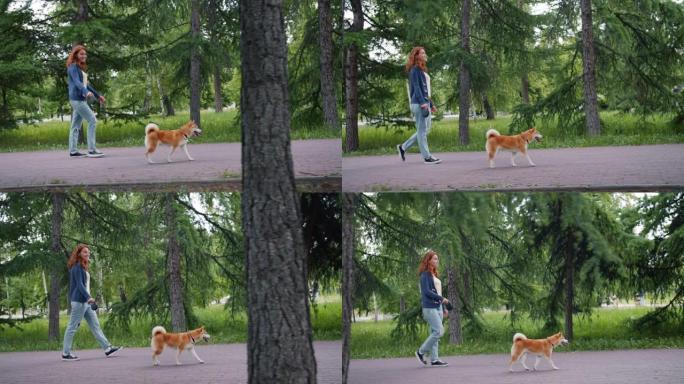 迷人的女士和可爱的柴犬在公园散步的侧视图