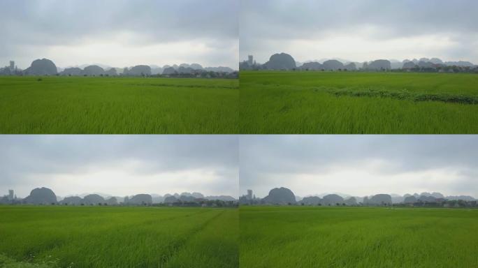 空中: 飞越越南乡村郁郁葱葱的绿色稻田。