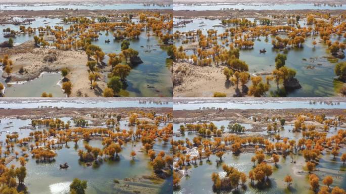 新疆鸟瞰图沙漠绿洲沙地改造