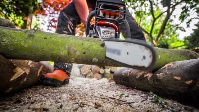 伐木工人用电锯砍树-慢动作
