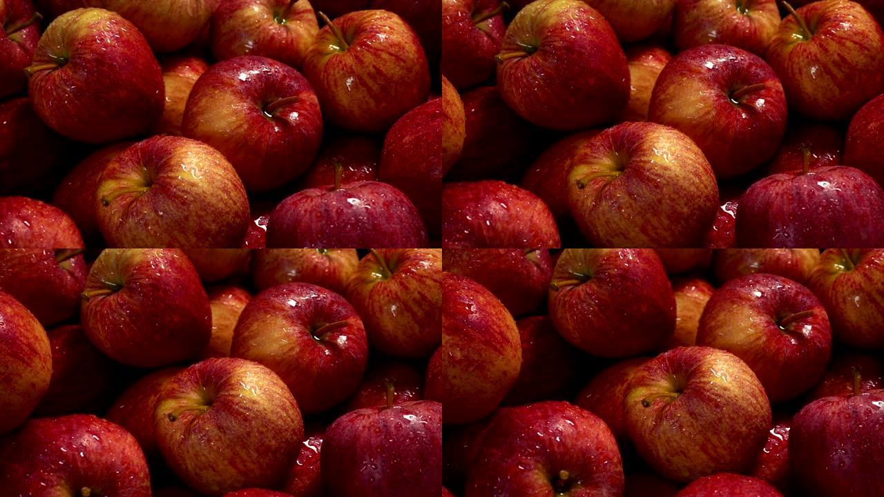 洗苹果堆移动镜头红苹果采摘丰收