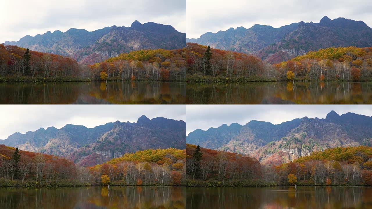 4k延时，放大了日本长野的秋季Kagamiike池塘。