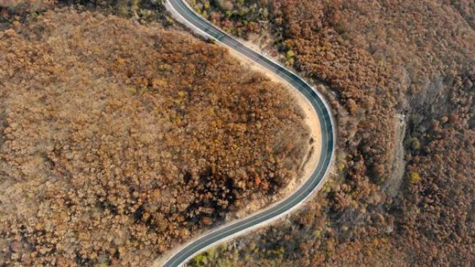 鸟瞰秋天色彩森林之间令人惊叹的道路