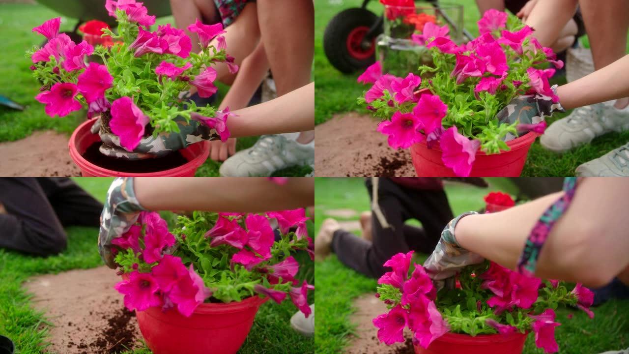 母子在花园里种花母子在花园里种花