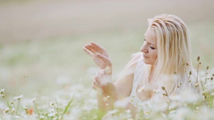 MS肖像快乐的年轻女子采摘花瓣的雏菊在野花的田野